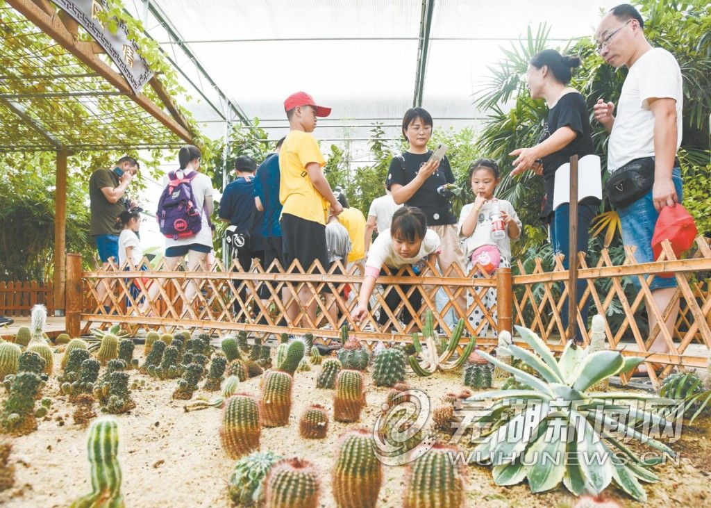 采摘、植物园、农家美食、皮划艇竞技、探秘地下电站…… 峨桥生态一日游 不要太精彩