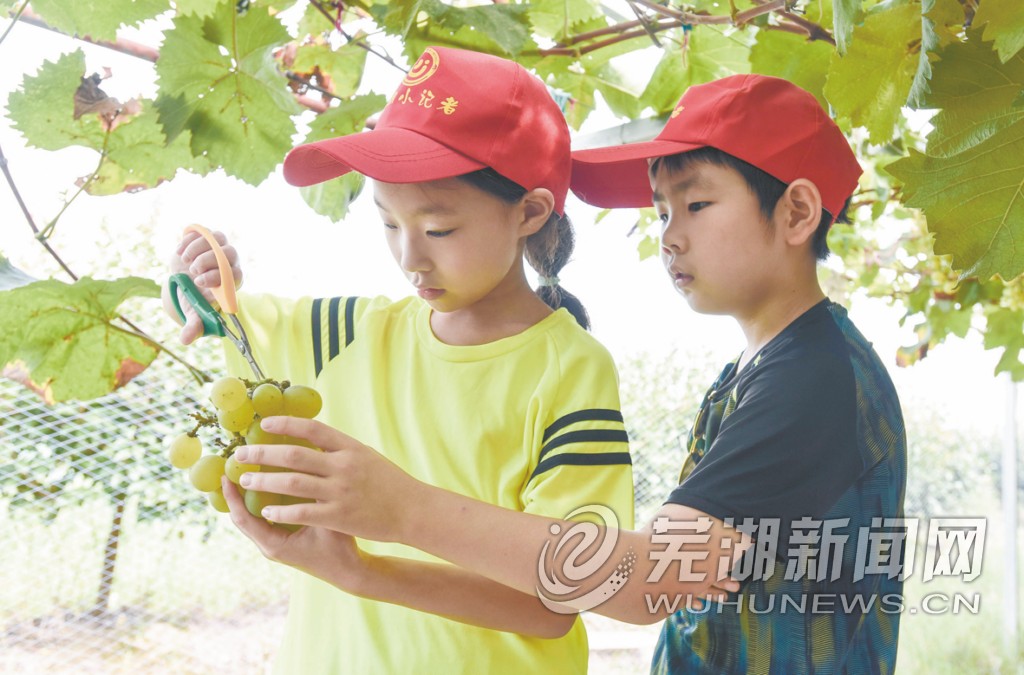 采摘、植物园、农家美食、皮划艇竞技、探秘地下电站…… 峨桥生态一日游 不要太精彩