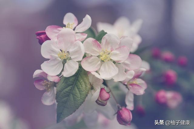 7种心理暗示,让你保持健康心态