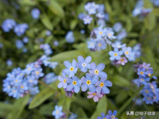7种心理暗示,让你保持健康心态