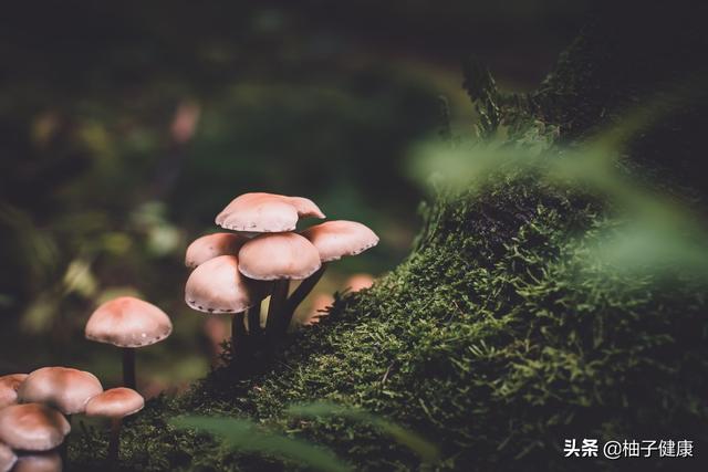 7种心理暗示,让你保持健康心态