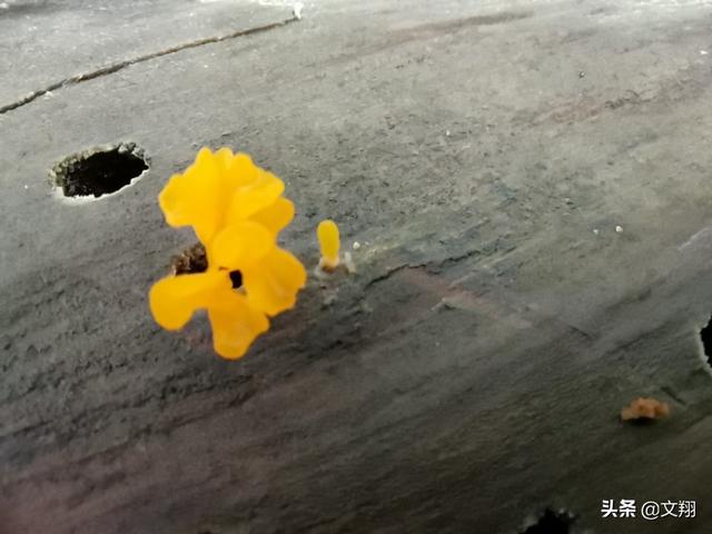 你的心理健康吗?----一般心理问题分析与应对方法