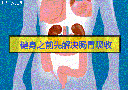 健身的基础是养生,肠胃吸收搞好了,健身效果就不会差(附方法)