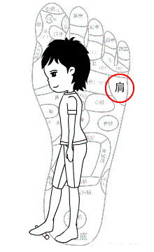 简单的养生操,每日锻炼十分钟,远离职业病,越来越健康!
