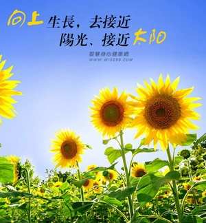 健康不重要?小编告诉你如何健康管理!
