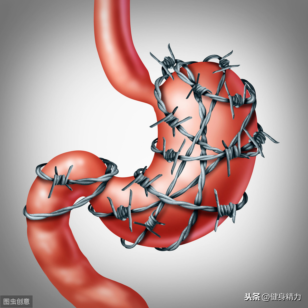 怎么做好健身饮食管理?把握好这几点就可以
