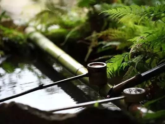28条养生口诀,这才是最健康的生活方式!(值得收藏)