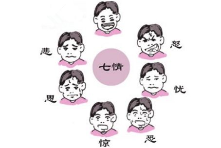 总结的太到位了!关于养生,这篇文章说全了!记得收藏