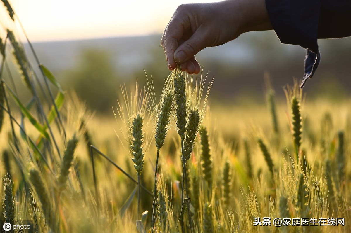 小满节气:养生牢记这几个要点,健康一整个夏天