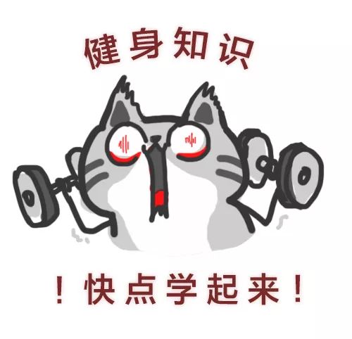 健身前,请先搞清楚这些健身知识!别走健身“弯路”