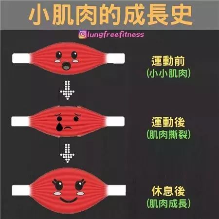 22条健身知识,认真看完相当于上了一节私教课