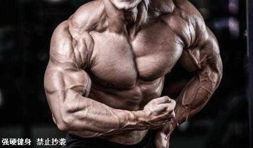 自学健身,了解清楚了这些知识,你就有了初级健身教练的水平