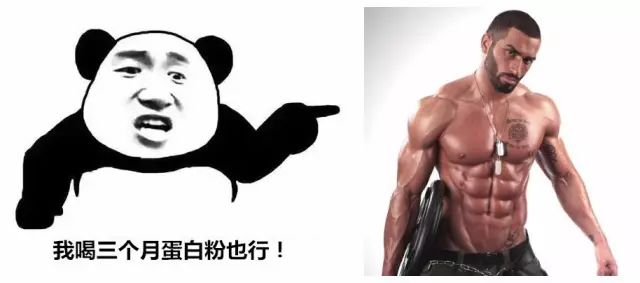 一万次的想法,比不上你一次全身心的投入到健身当中去