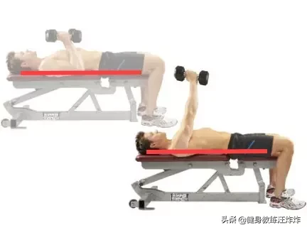 建议收藏!记住这一点,健身动作就对了90%!