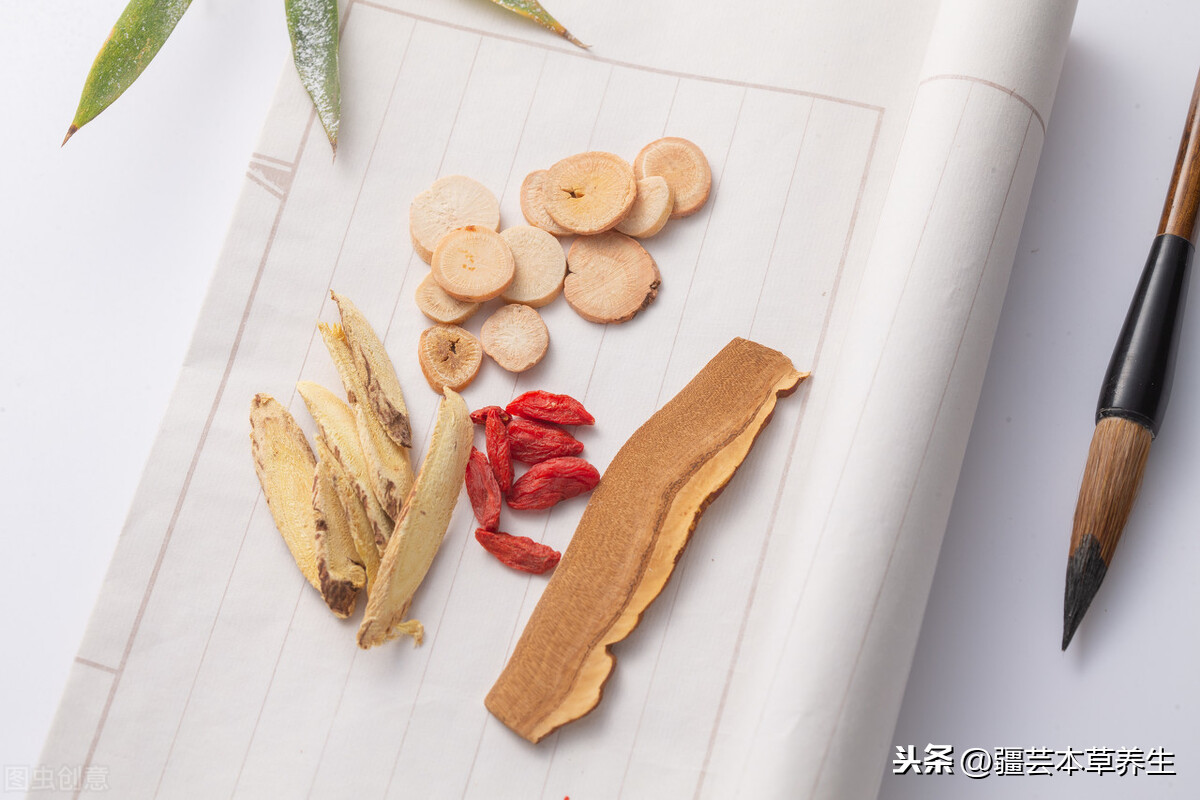 身体虚弱能长期和鹿角灵芝草泡水吗?鹿角灵芝有啥禁忌?