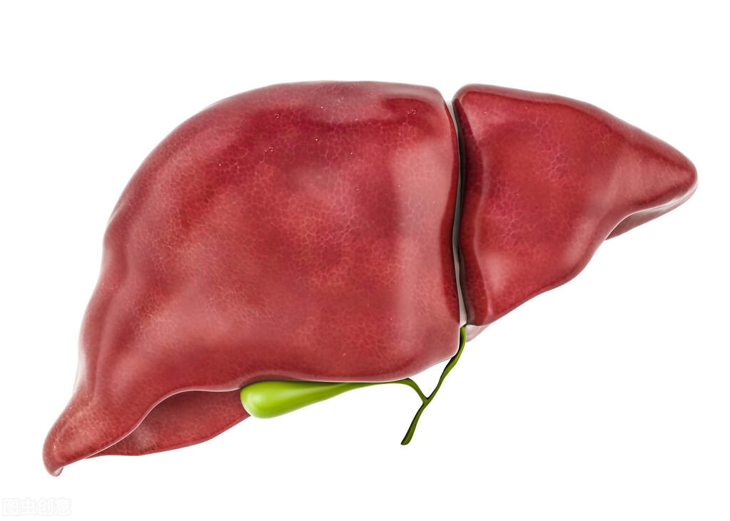 肝硬化TIPS术后可否进食动物蛋白吗?