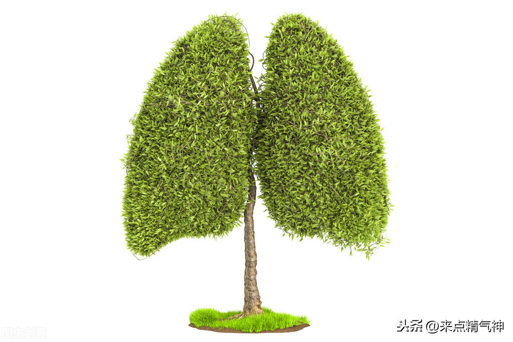 每天3次!帮助鼻子防止寒气侵犯体内。鼻炎或鼻子不灵敏的注意