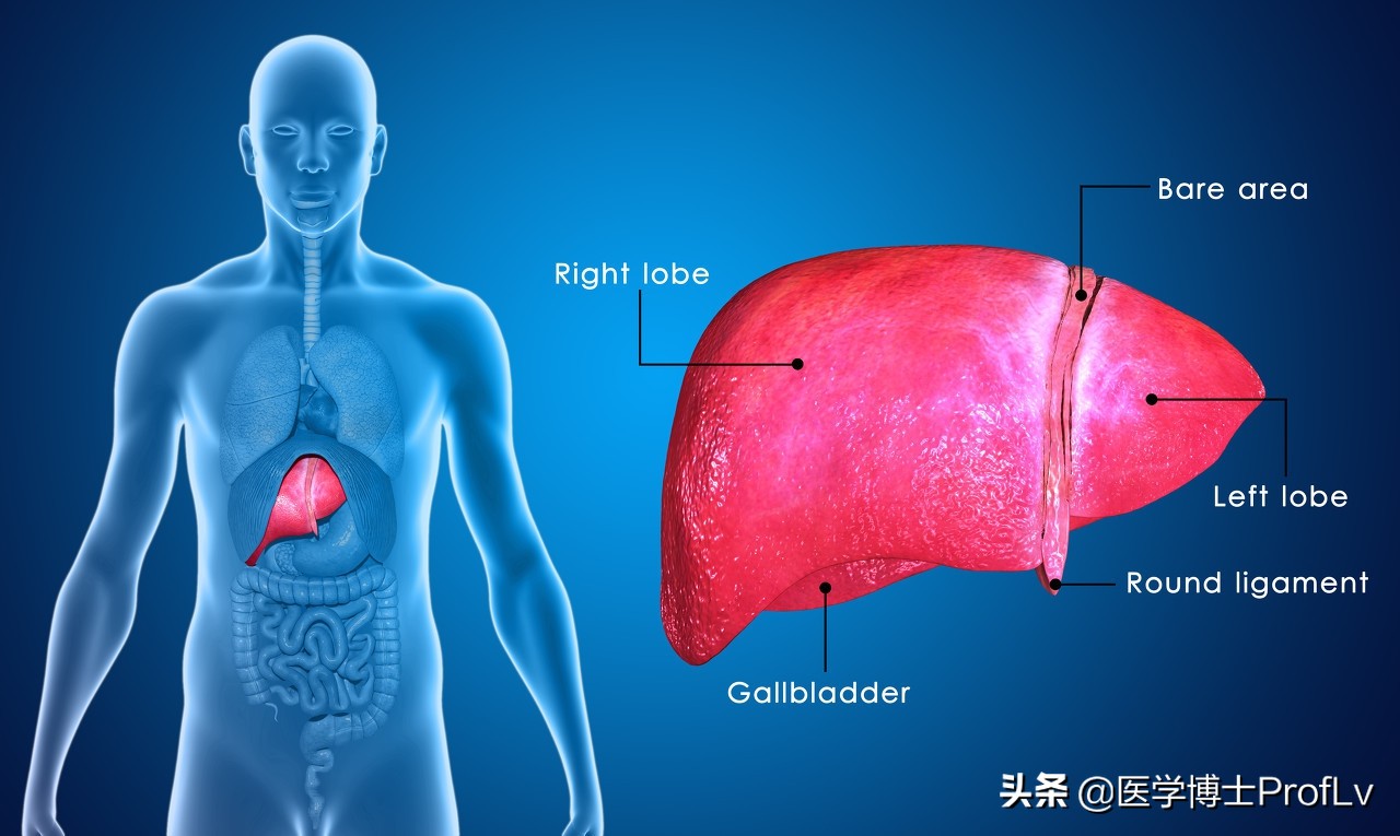 4个表现一出现,表明肝不好了,四类食物多吃无益,还是戒掉为好