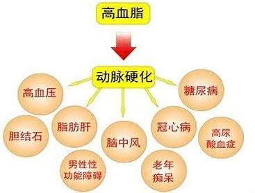 血脂高必须吃药吗,生活上有哪些注意事项?医生为您讲清楚