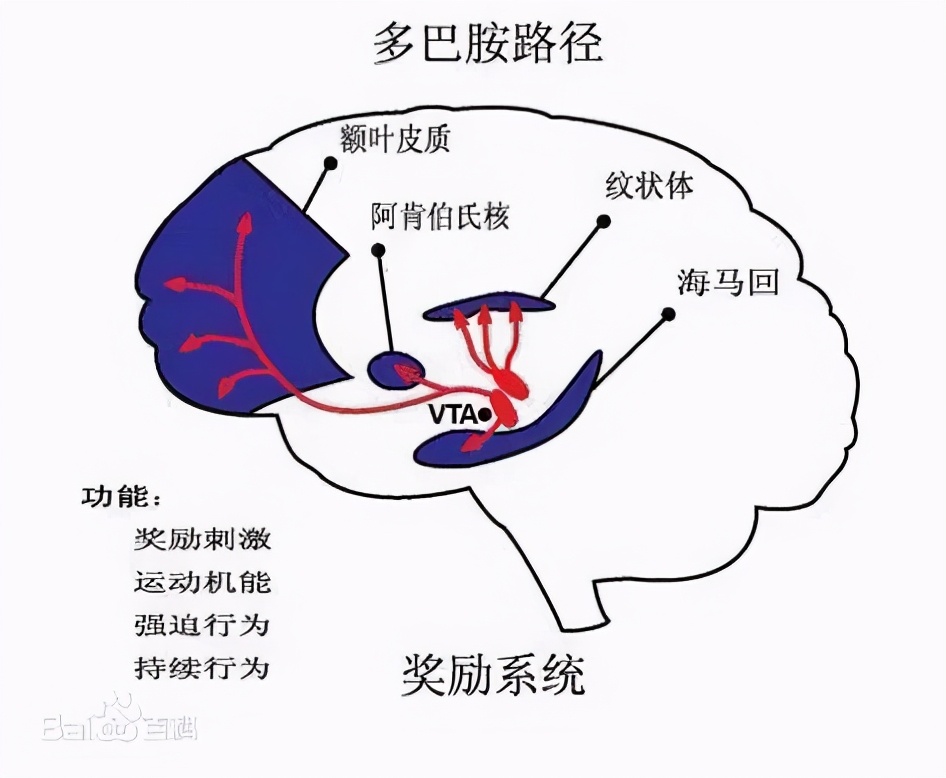 吃货的困扰:“为啥我明明不饿却总想吃东西?”