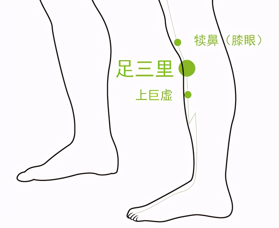 喝凉水都发胖,你怕是有胃寒了