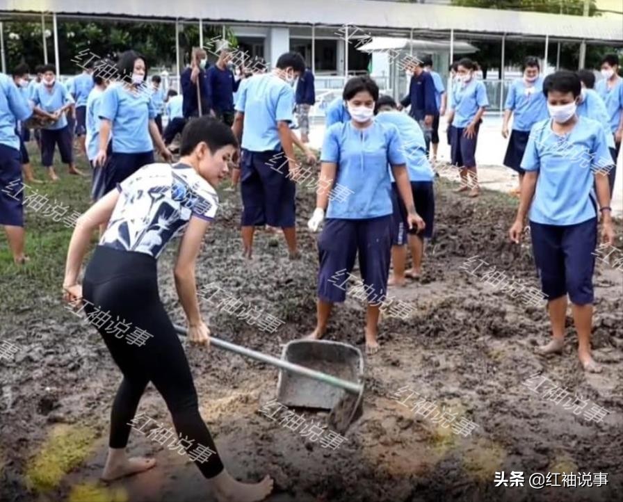 诗妮娜在监狱干农活!身穿花裤子放飞自我,动作娴熟没摆拍痕迹