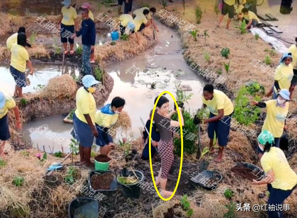 诗妮娜在监狱干农活！身穿花裤子放飞自我，动作娴熟没摆拍痕迹