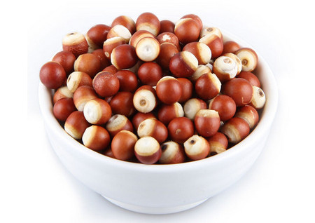 芡实的功效芡实一天吃多少颗比较好-易网<a data-cke-saved-href=http://www.ewebol.com/ href=http://www.ewebol.com/ target=_blank class=infotextkey>健康养生</a>网 芡实的功效芡实一天吃多少颗比较好